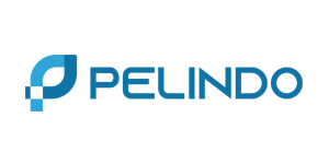 PT Pelindo